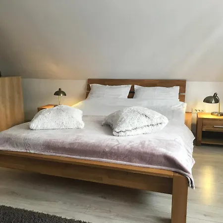 アパート Modern ブラショフ