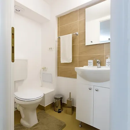 アパート Modern ブラショフ