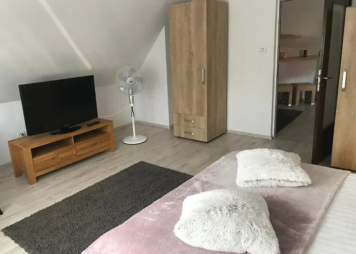Modern Apartment Brasov