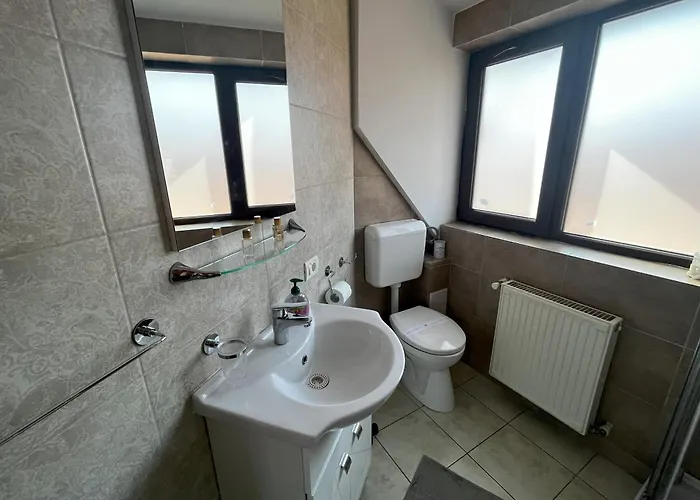 Modern Apartment Brasov