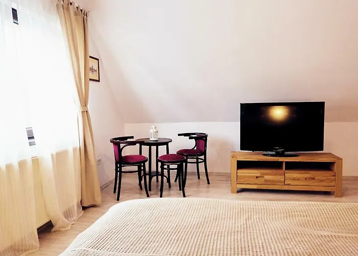 Modern Apartment Brasov